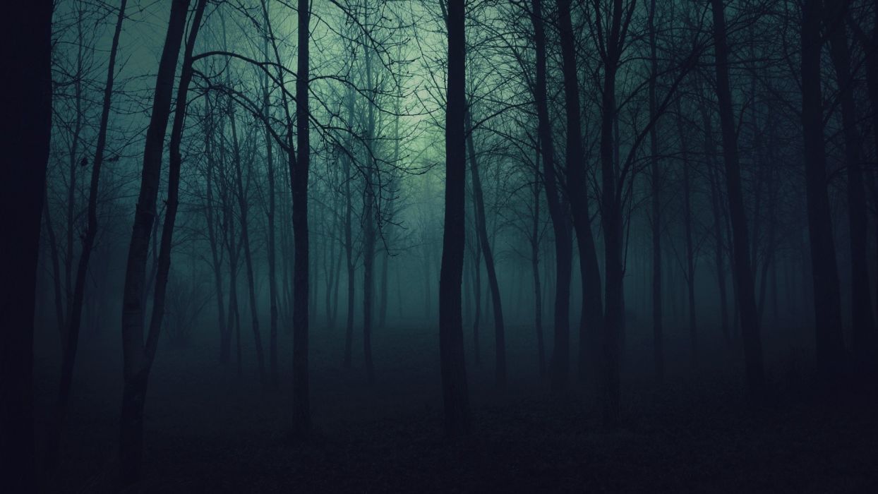 Creepy trees dark forests mist wallpaperx1080