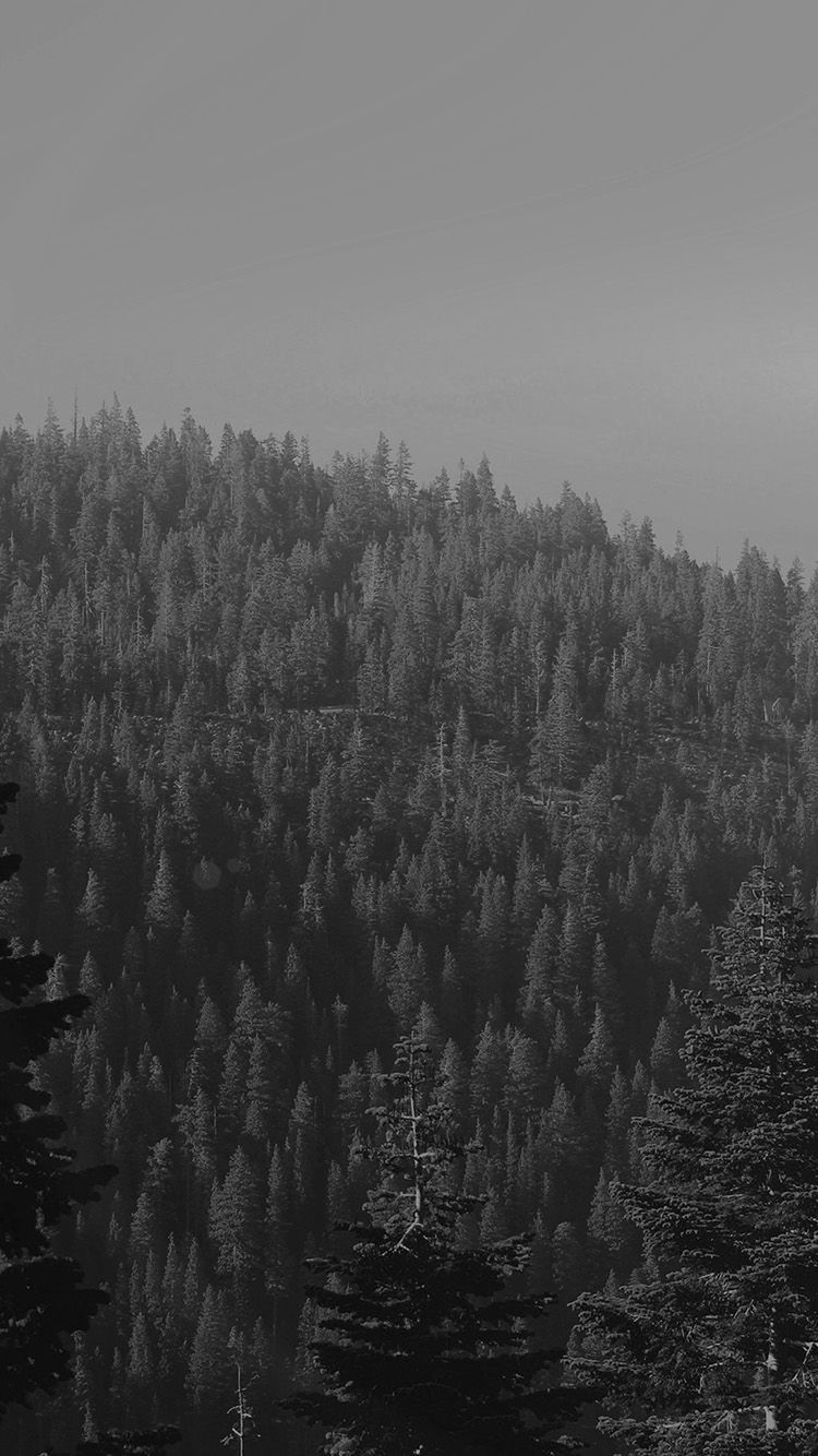 iPhone 6 Wallpaper wood mountain nature dark bw
