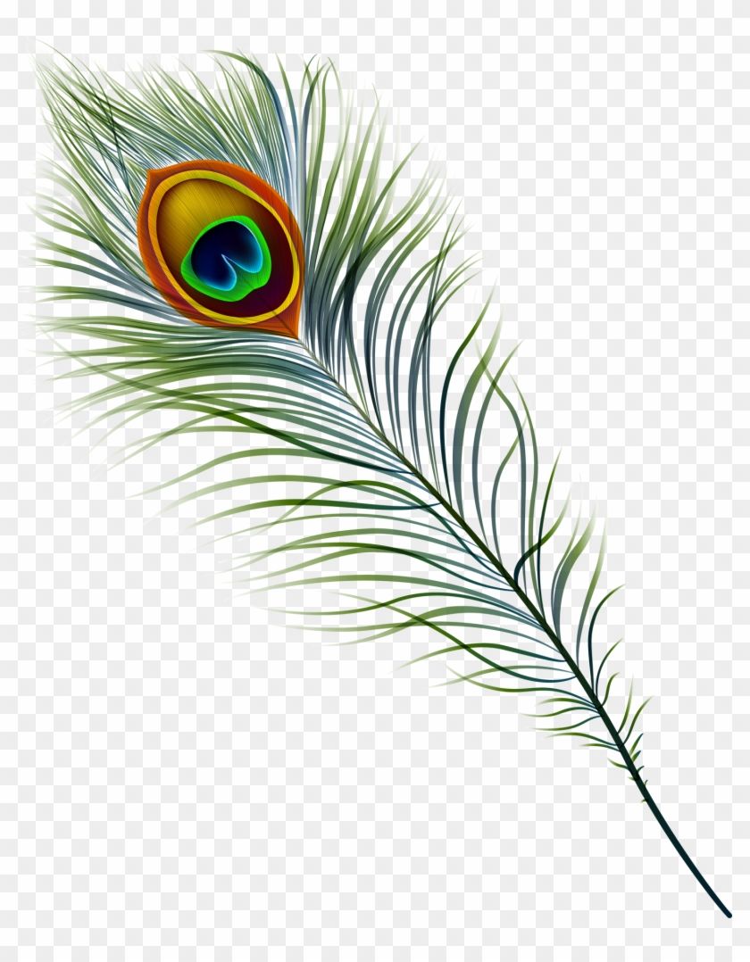Antique Mall In Marietta, georgia Peacock Feathers Painting Transparent PNG Clipart Image Download