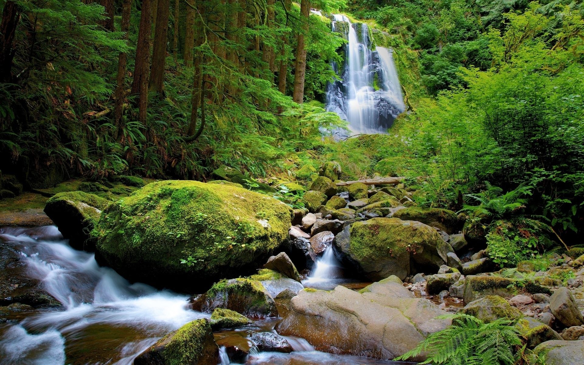 Mossy rocks in the mountain river wallpaper wallpaper