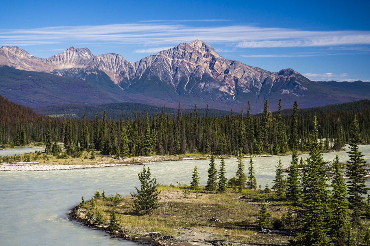 Desktop Wallpaper Jasper Park Canada Athabasca River Nature Spruce