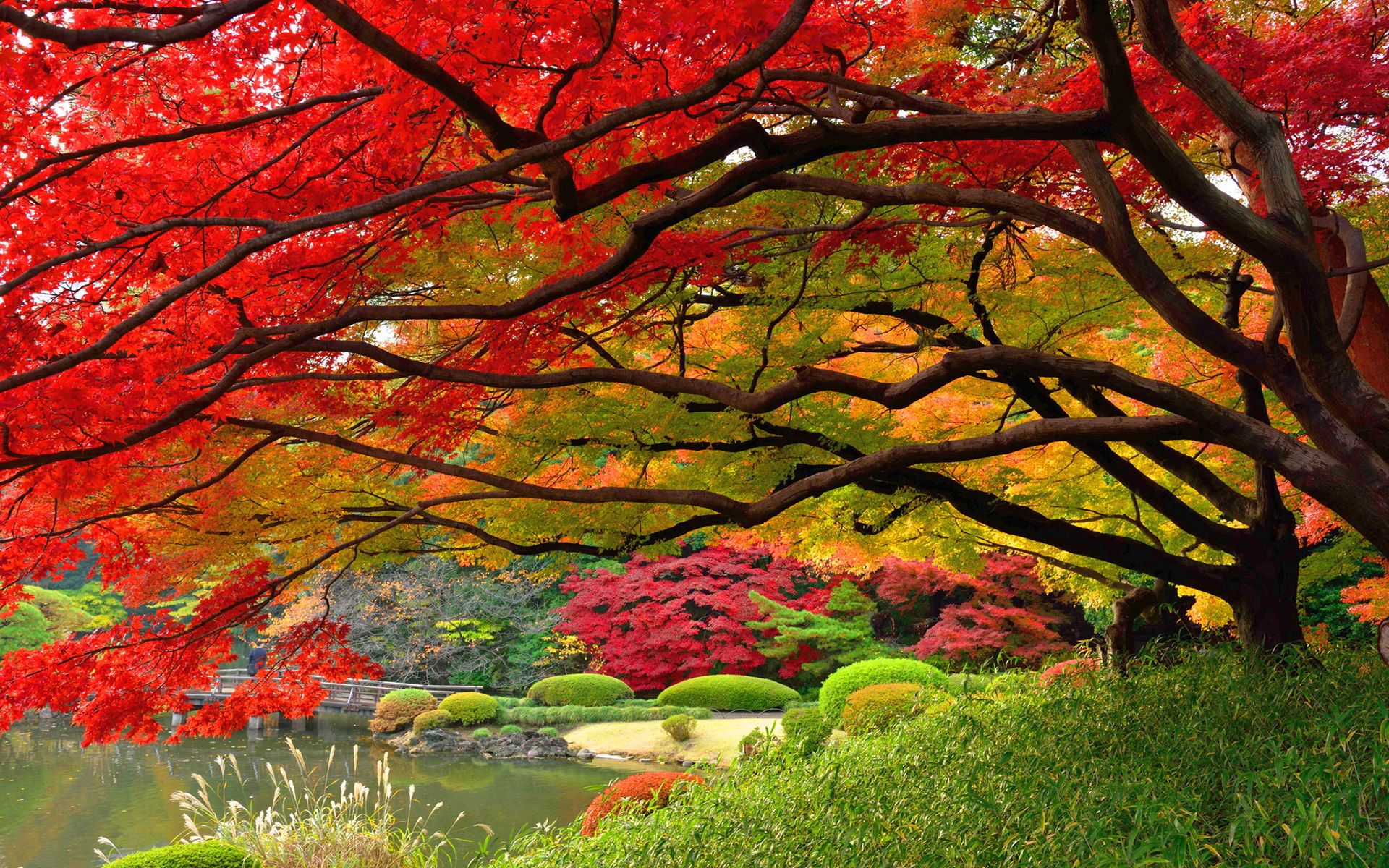 autumn wallpaper japan HD Desktop Wallpaperk HD