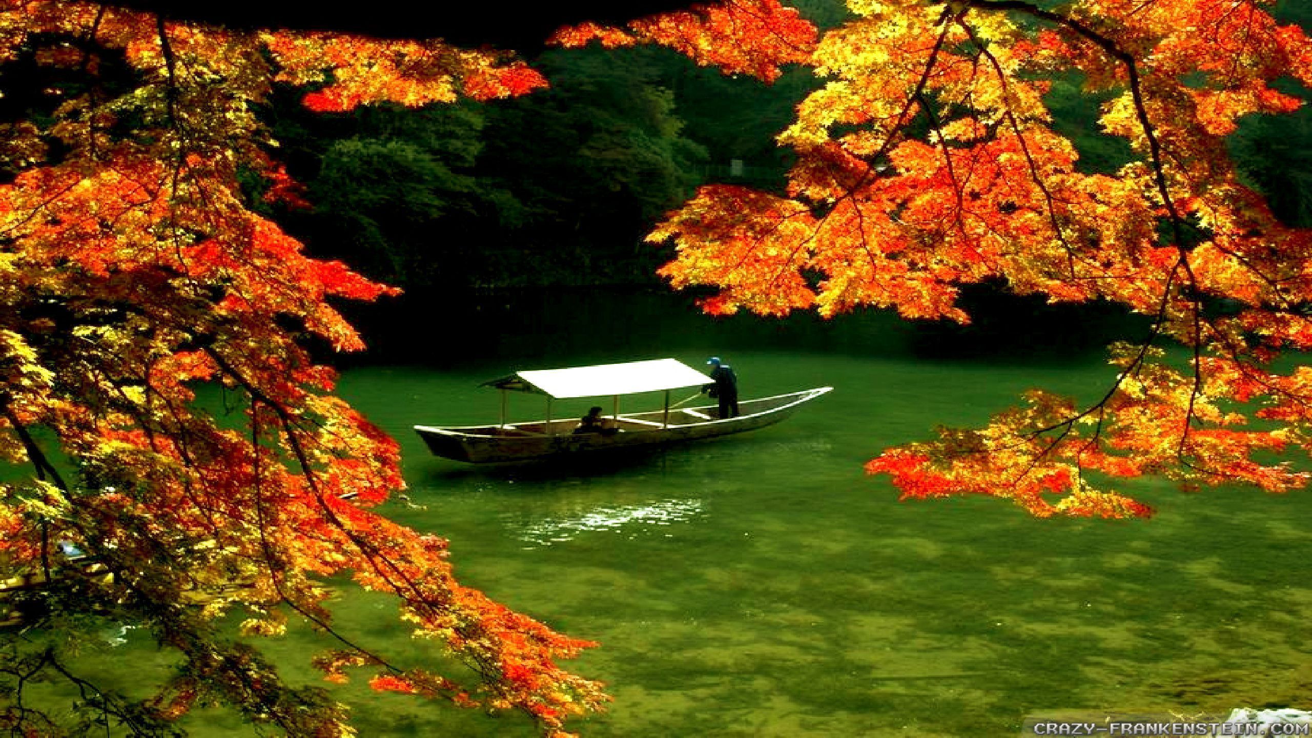 Autumn. Nature picture, Japan, Beautiful landscapes