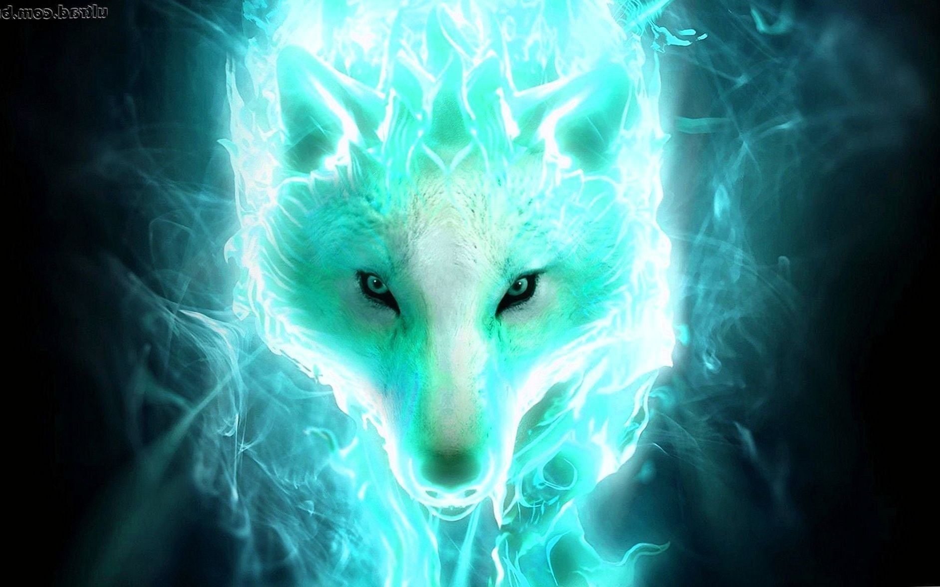 HD wallpaper Spirit of Plants white wolf on front of bubble illustration   Wallpaper Flare