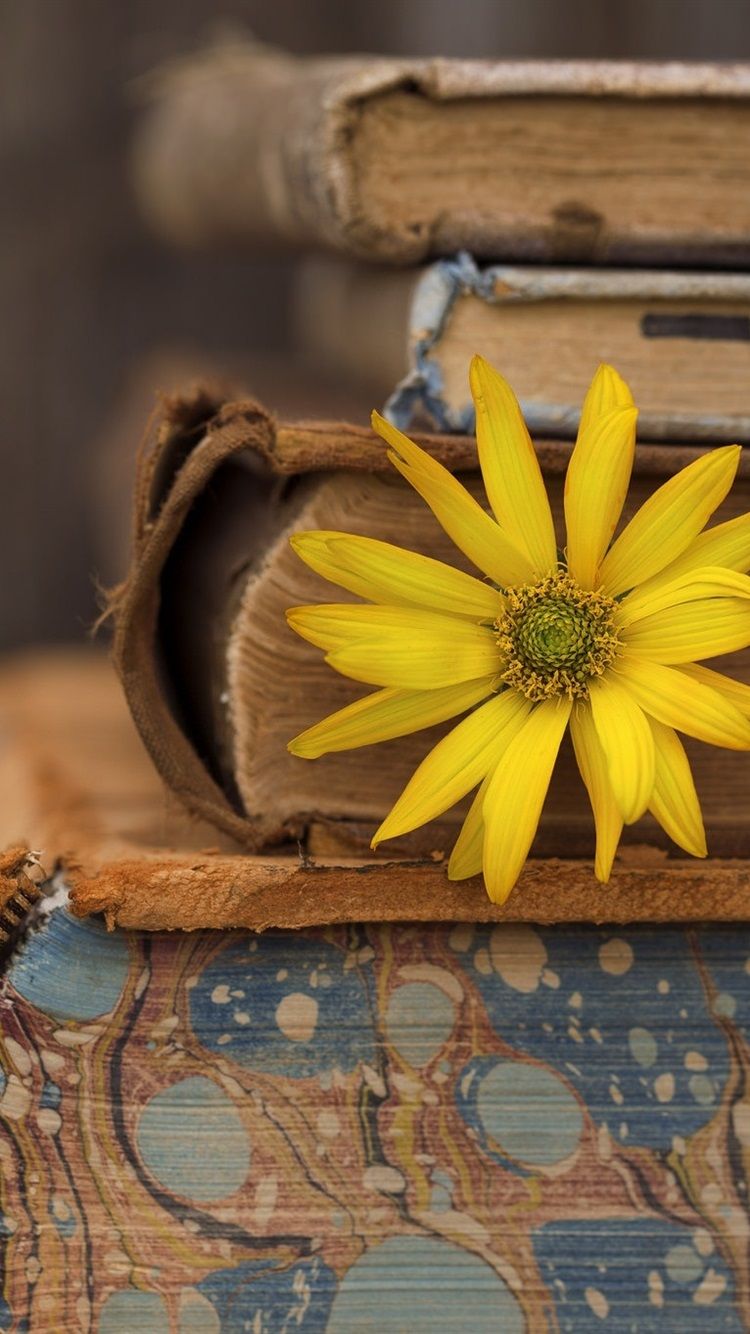 Books, Yellow Flower 750x1334 IPhone 8 7 6 6S Wallpaper, Background, Picture, Image