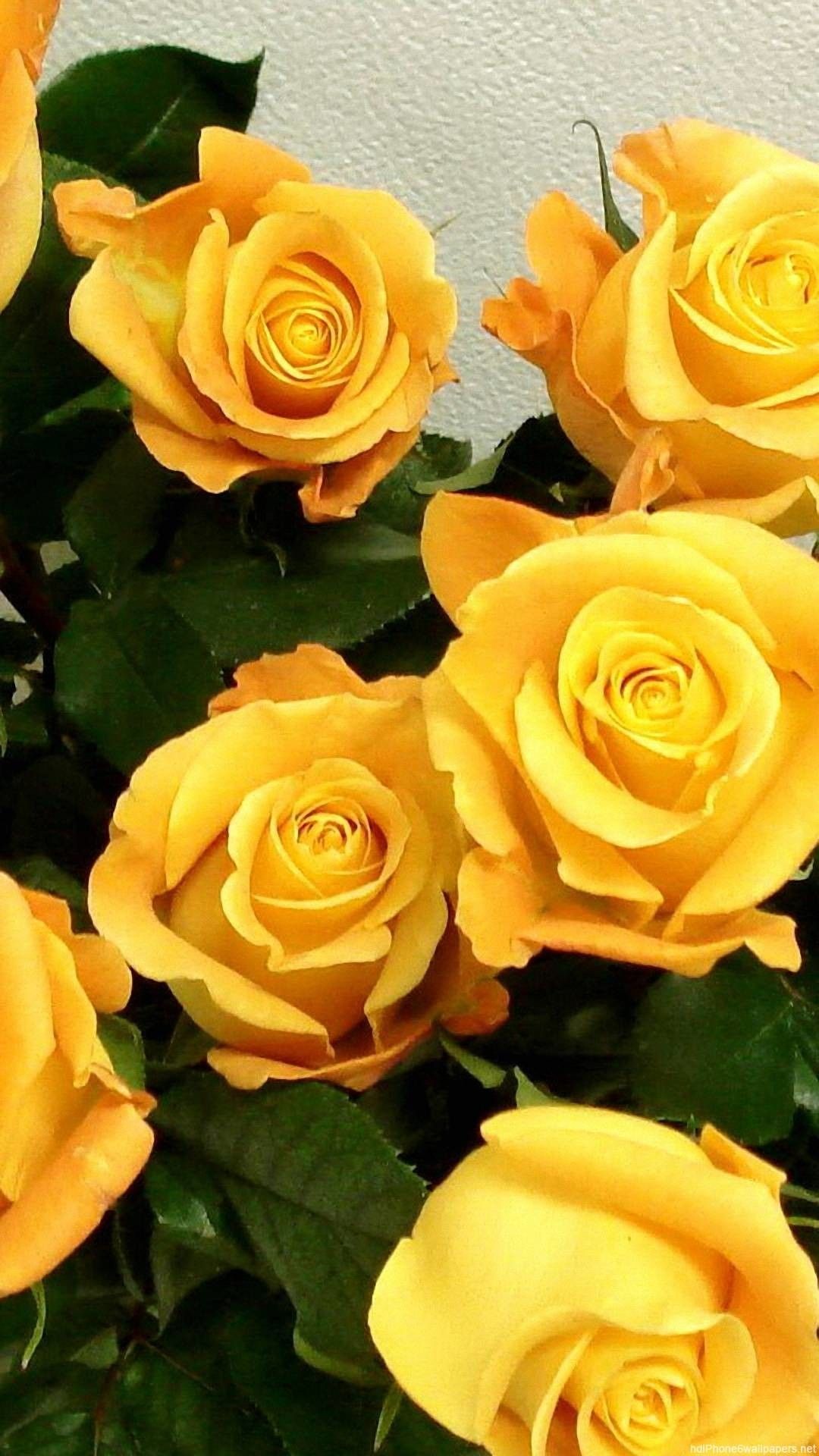 iPhone Yellow Flower Wallpapers - Wallpaper Cave