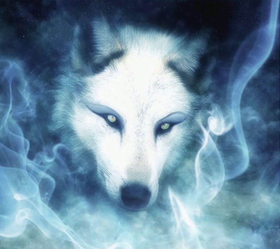 Wolf Ghost Wallpaper, Droid Gallery. Wolf spirit animal, Wolf spirit, Fantasy wolf