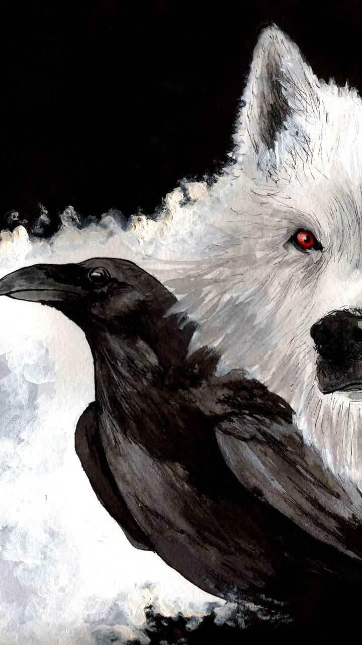 beak, white, wolf, game of thrones, raven, ghost, snow, look desktop wallpaper 58332