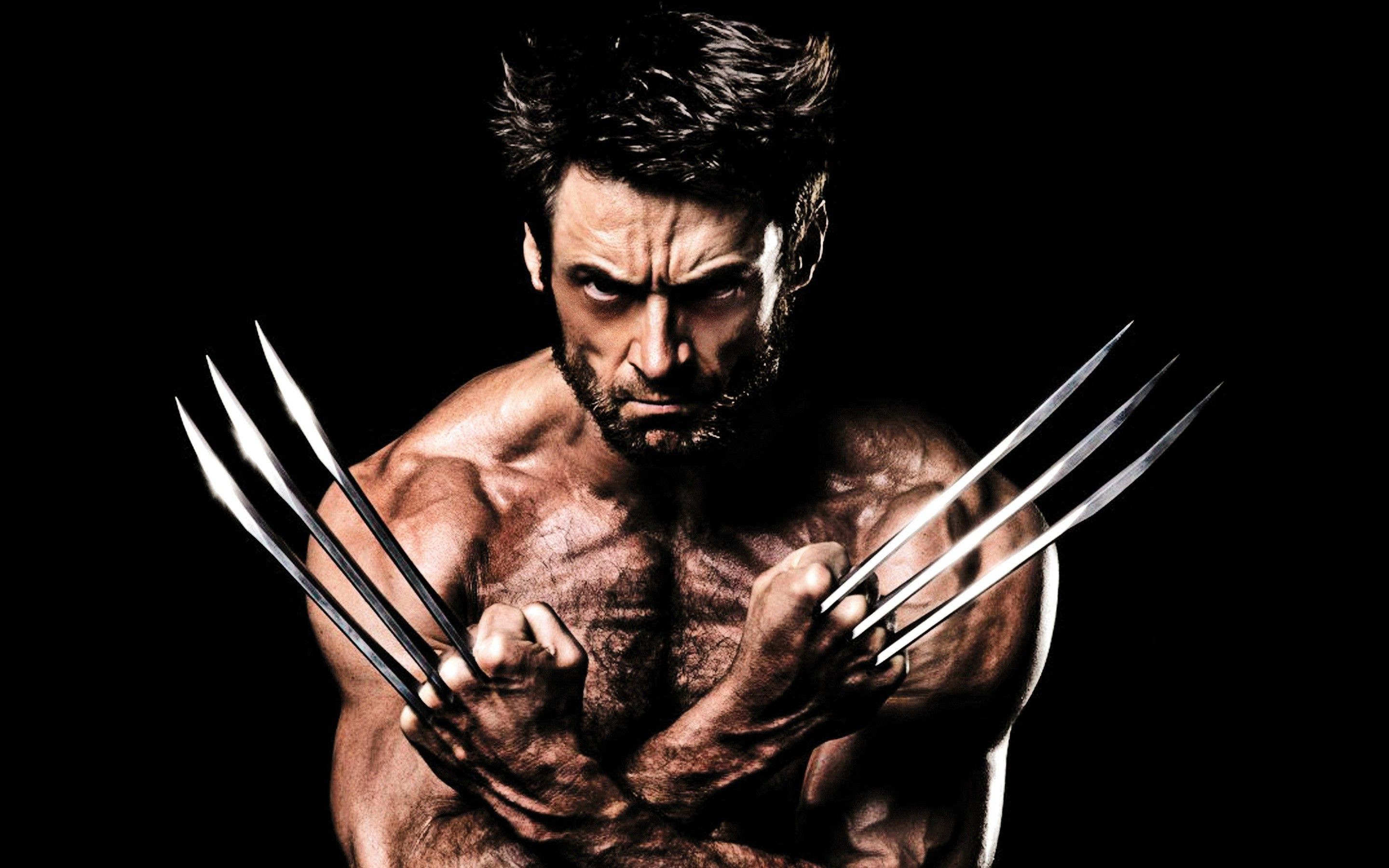 Hugh Jackman, Wolverine, X Men, Adamantium, Claws Wallpaper HD / Desktop and Mobile Background