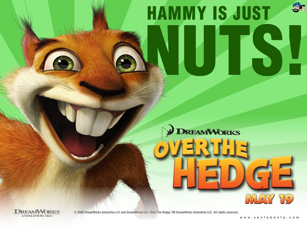 Over the Hedge Movie Wallpaper