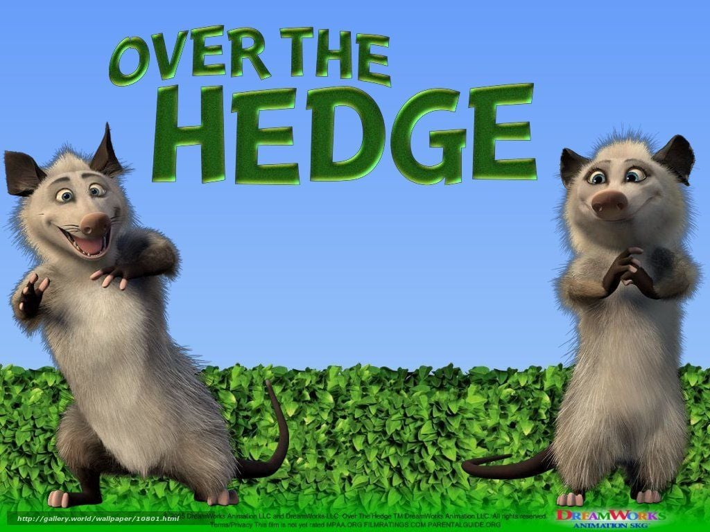 Download wallpaper Over the Hedge, Over the Hedge, film, movies free desktop wallpaper in the resolution 1024x768