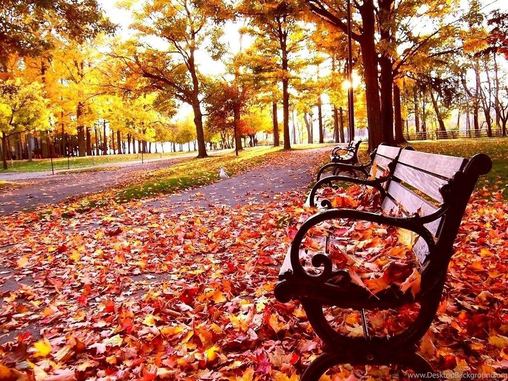 Free Downloadable Wallpaper For PC Autumn Landscape Photo Of. Desktop Background