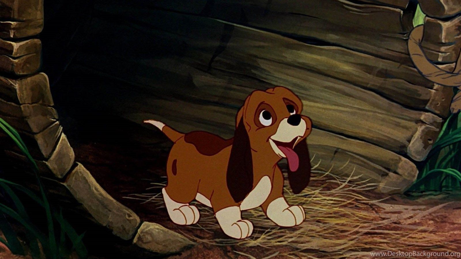 The Fox And The Hound HD Wallpaper (High Quality) All HD Wallpaper Desktop Background