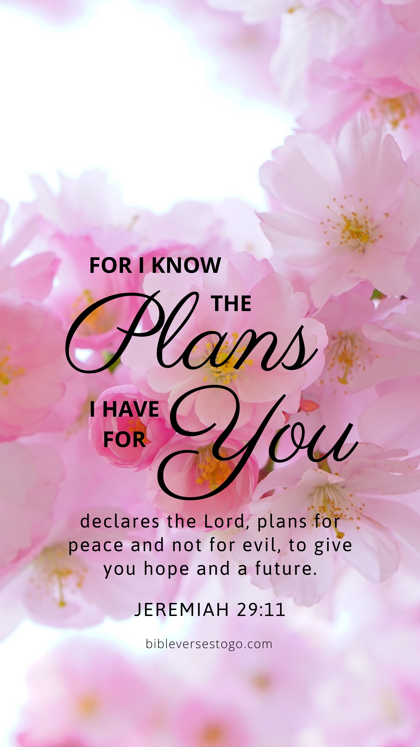 Pink Bloom Jer 29:11. Christian iphone wallpaper, Scripture wallpaper, Christian quotes inspirational
