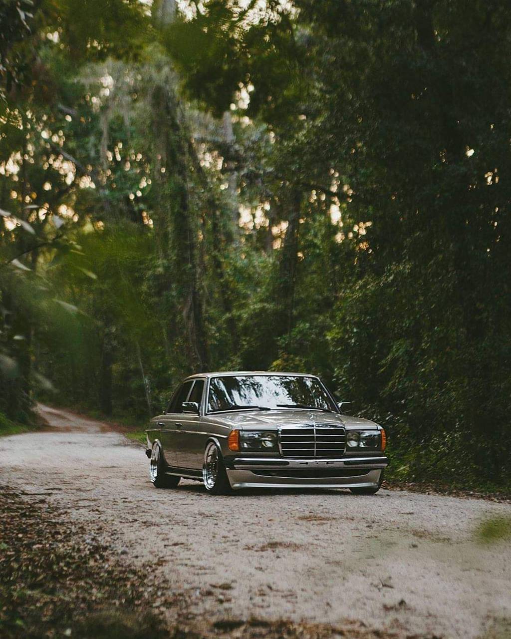 W123 wallpaper