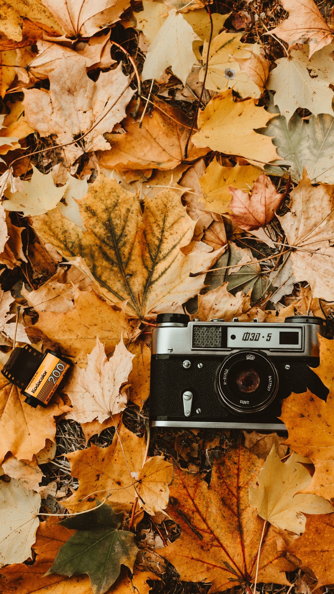 Vintage Aesthetic Autumn Wallpapers - Wallpaper Cave