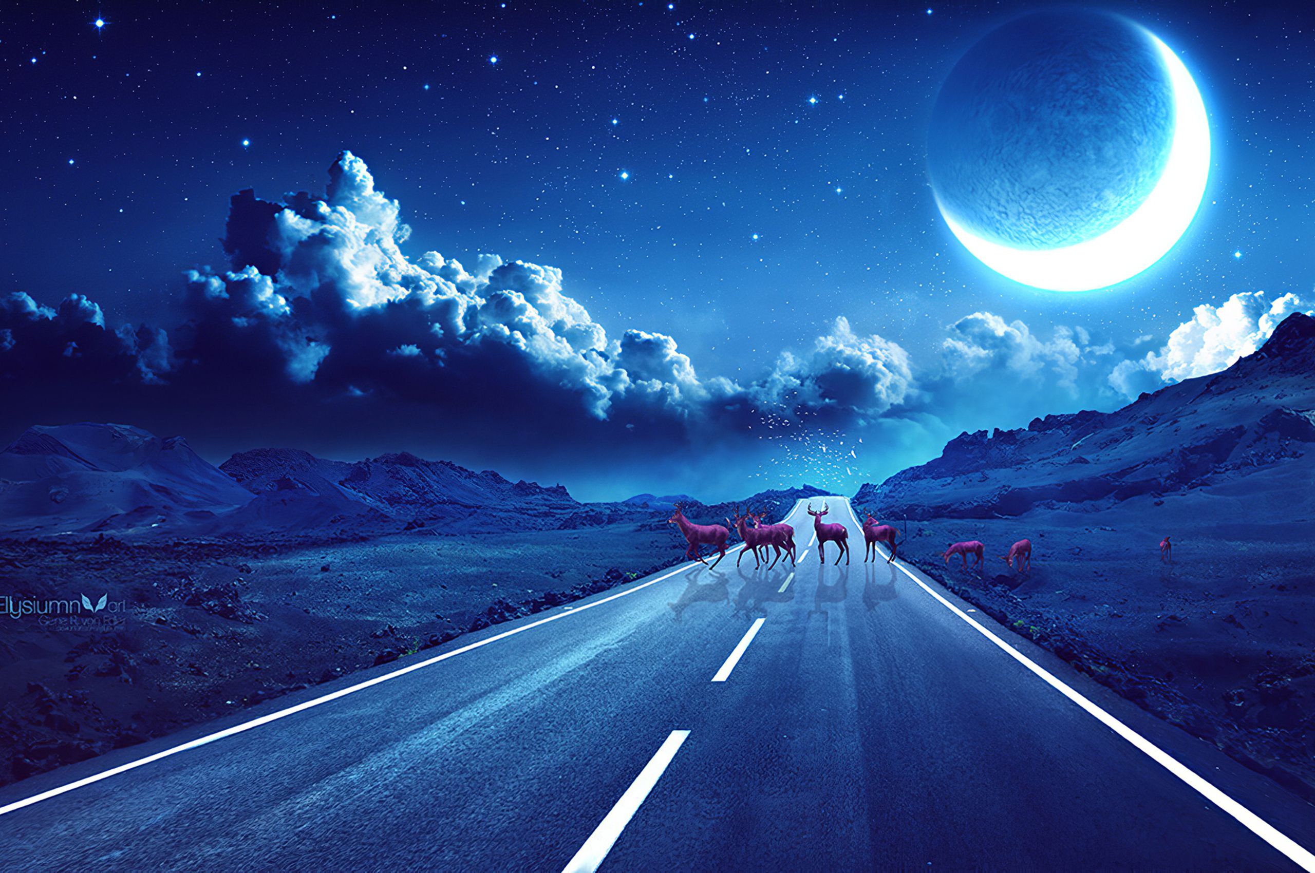 Deer Crossing The Road Magical Night Chromebook Pixel HD 4k Wallpaper, Image, Background, Photo and Picture
