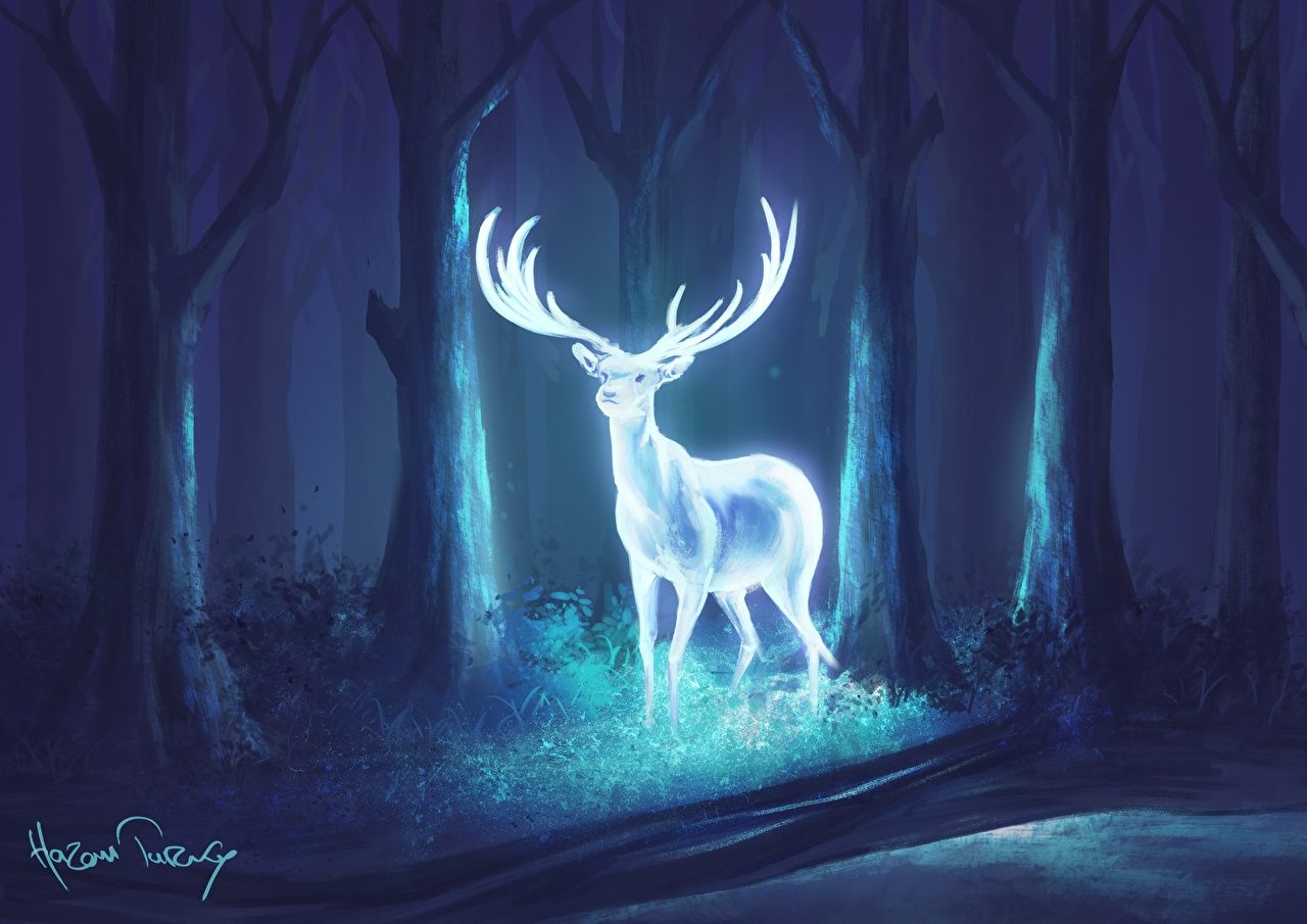 Desktop Wallpaper Deer Horns Fantasy night time Magical animals
