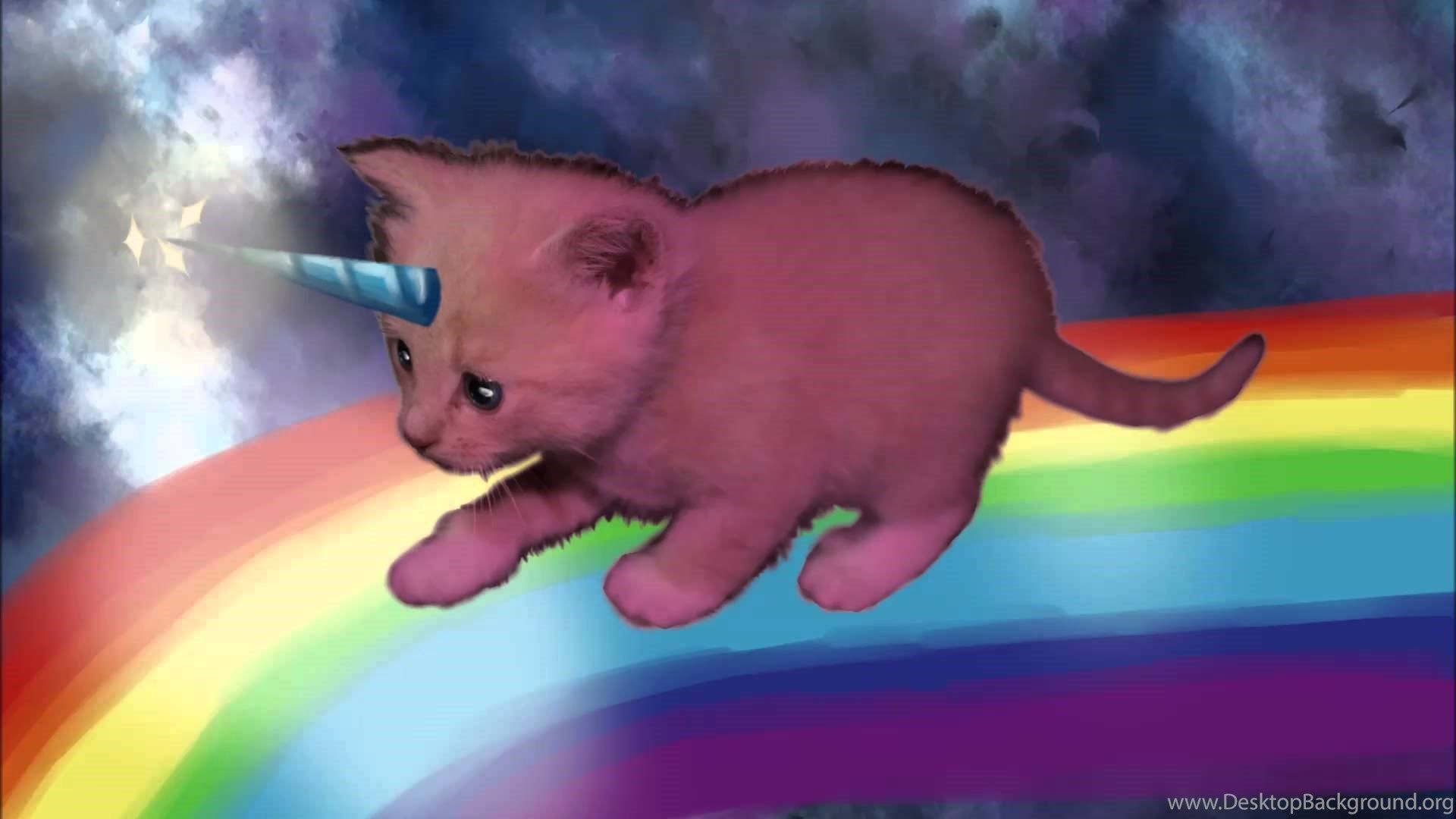 Pink Fluffy Unicorns Dancing On Rainbows YouTube Desktop Background