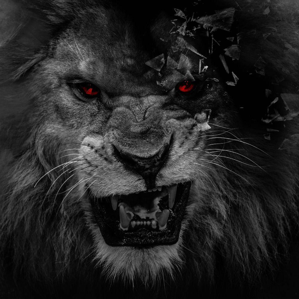Wallpaper Black Lion With Red Eyes