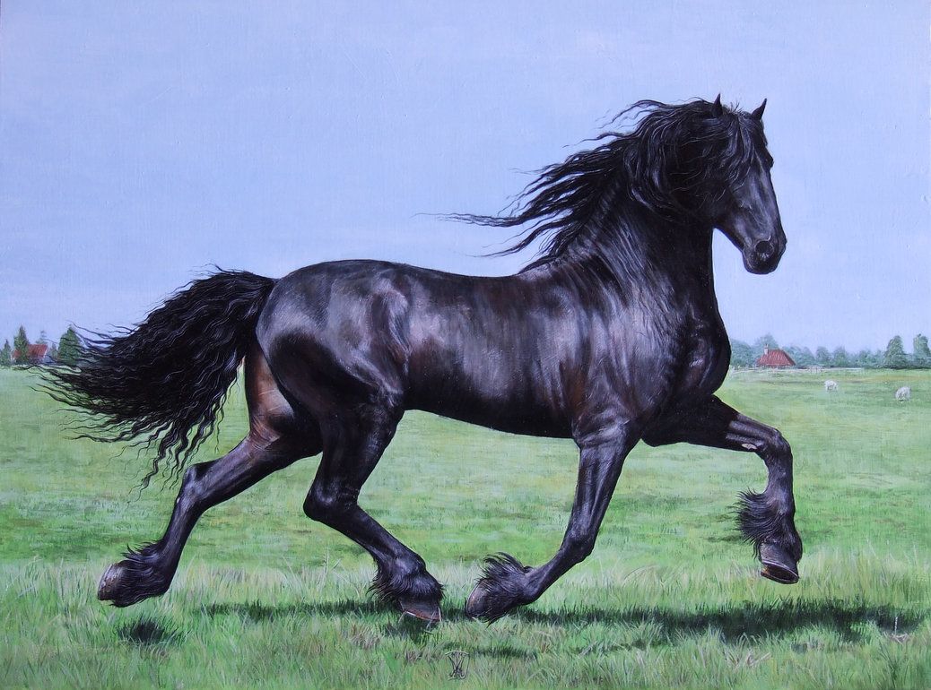 Free download Horse HD wallpaper andalusian horse image cool [1038x770] for your Desktop, Mobile & Tablet. Explore Friesian Horse Wallpaper. Friesian Wallpaper Image, Friesian Horse Wallpaper Theme, Free Friesian Horse Wallpaper