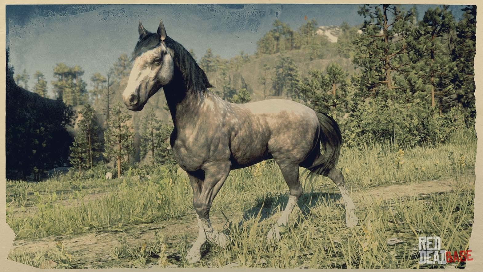 Rose Grey Andalusian Horse & Red Dead Online Horses Database & Statistics Dead Redemption 2