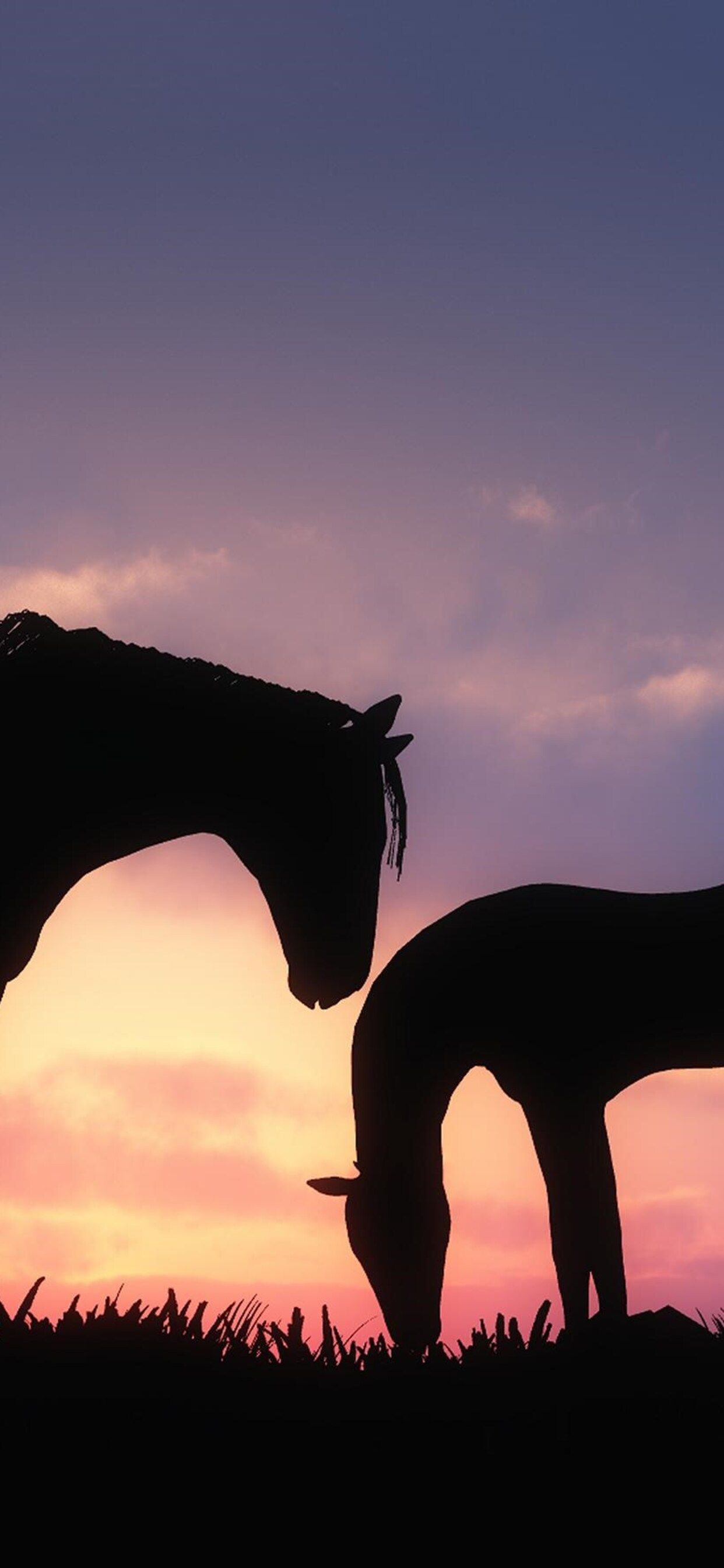 Horses Sunset iPhone XS MAX HD 4k Wallpaper, Image, Background, Photo and Picture