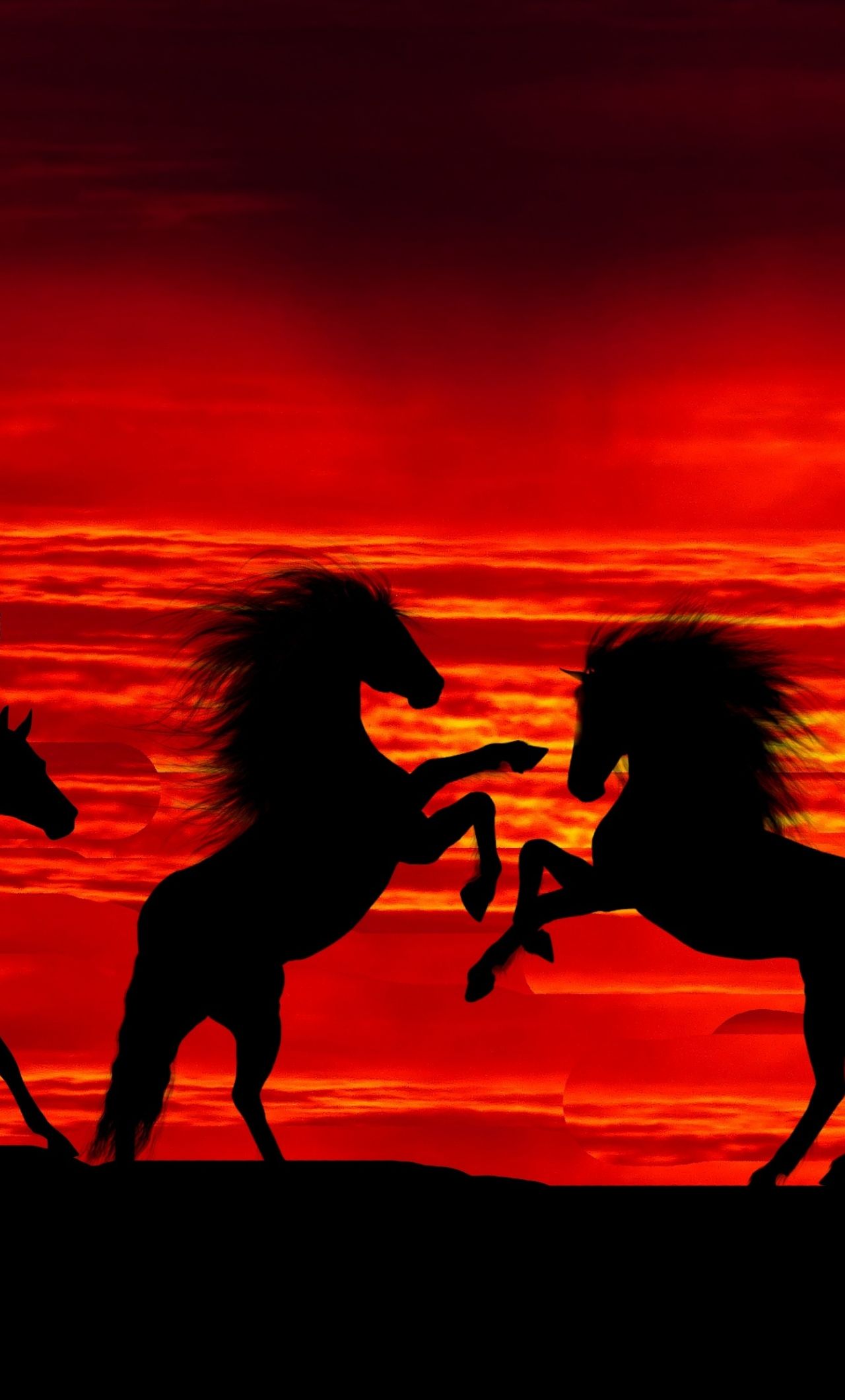 Download 1280x2120 wallpaper sunset, silhouette, horses, herd, iphone 6 plus, 1280x2120 HD image, background, 15521