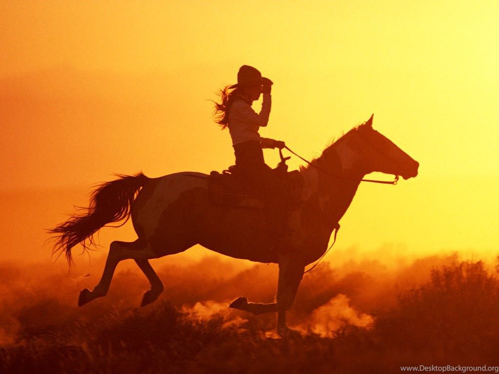 Download Wallpaper: Sunset, , Photo, Desktop Wallpaper, Horse, Horse Desktop Background