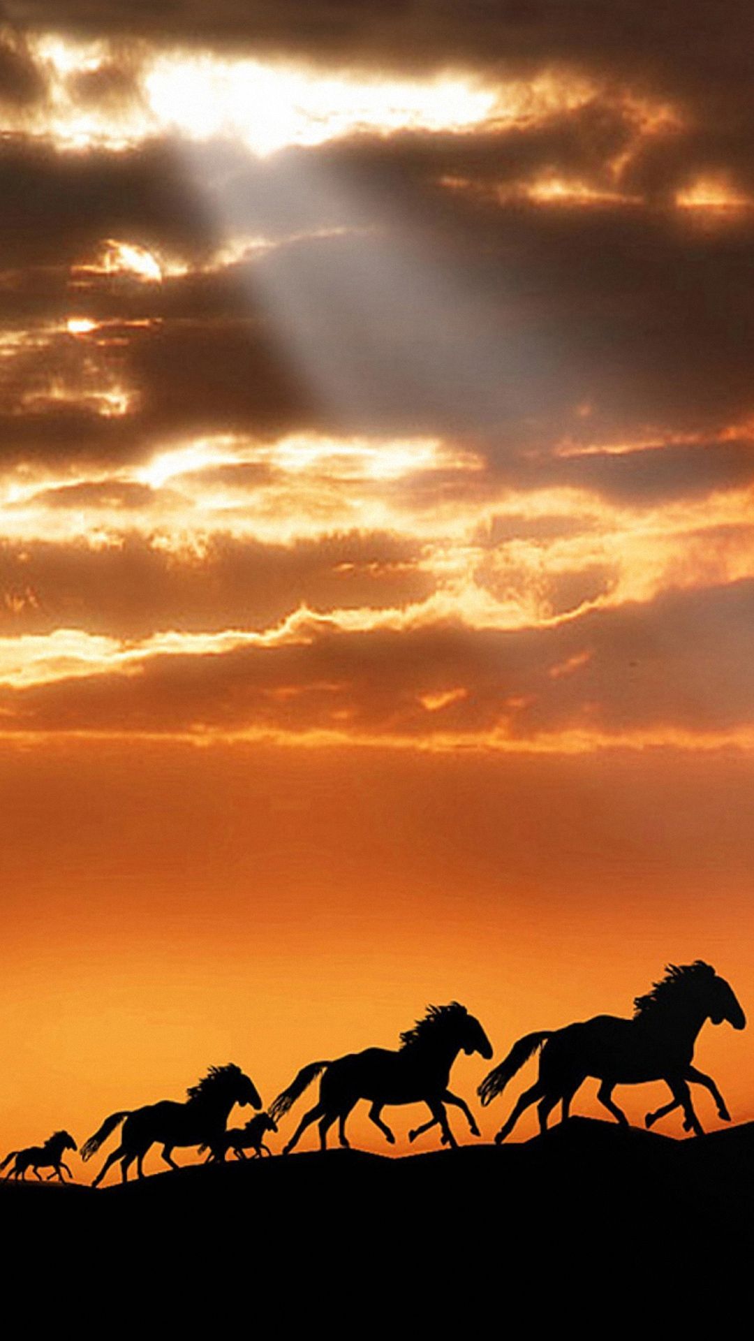 Samsung Galaxy 3D Wallpaper. Wild horses running, Horse wallpaper, Sunset silhouette