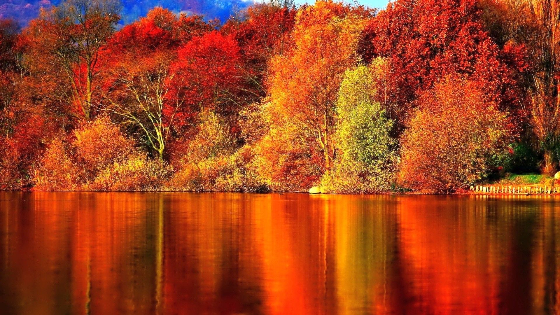 Autumn  Autumn and Collection HD wallpaper  Pxfuel