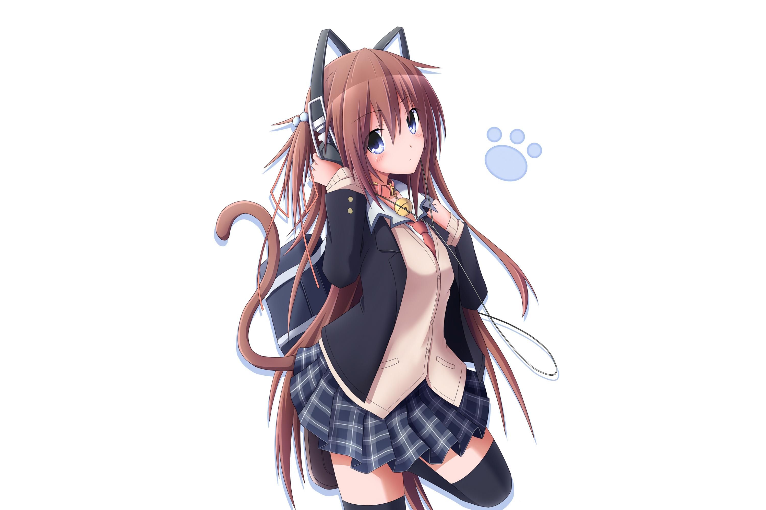 Cute Neko Anime Wallpaper