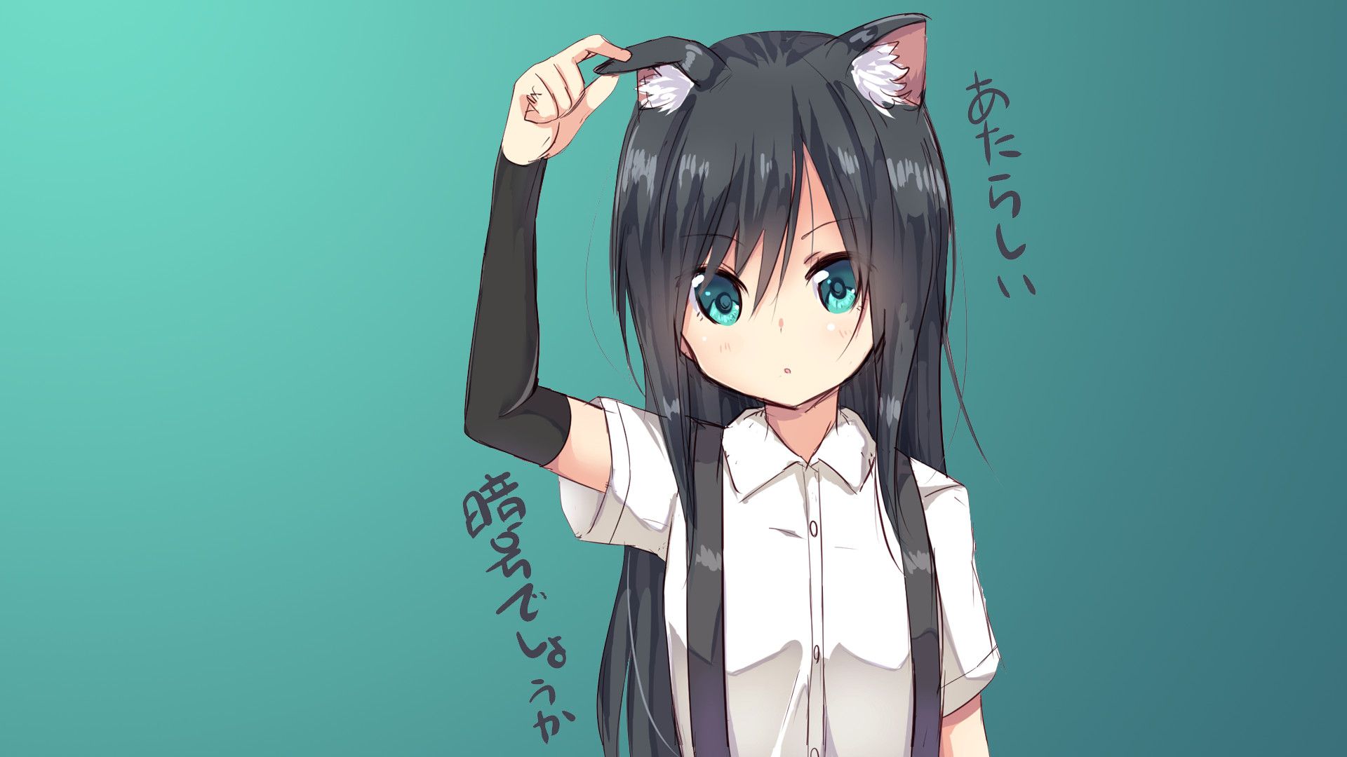 Anime Neko