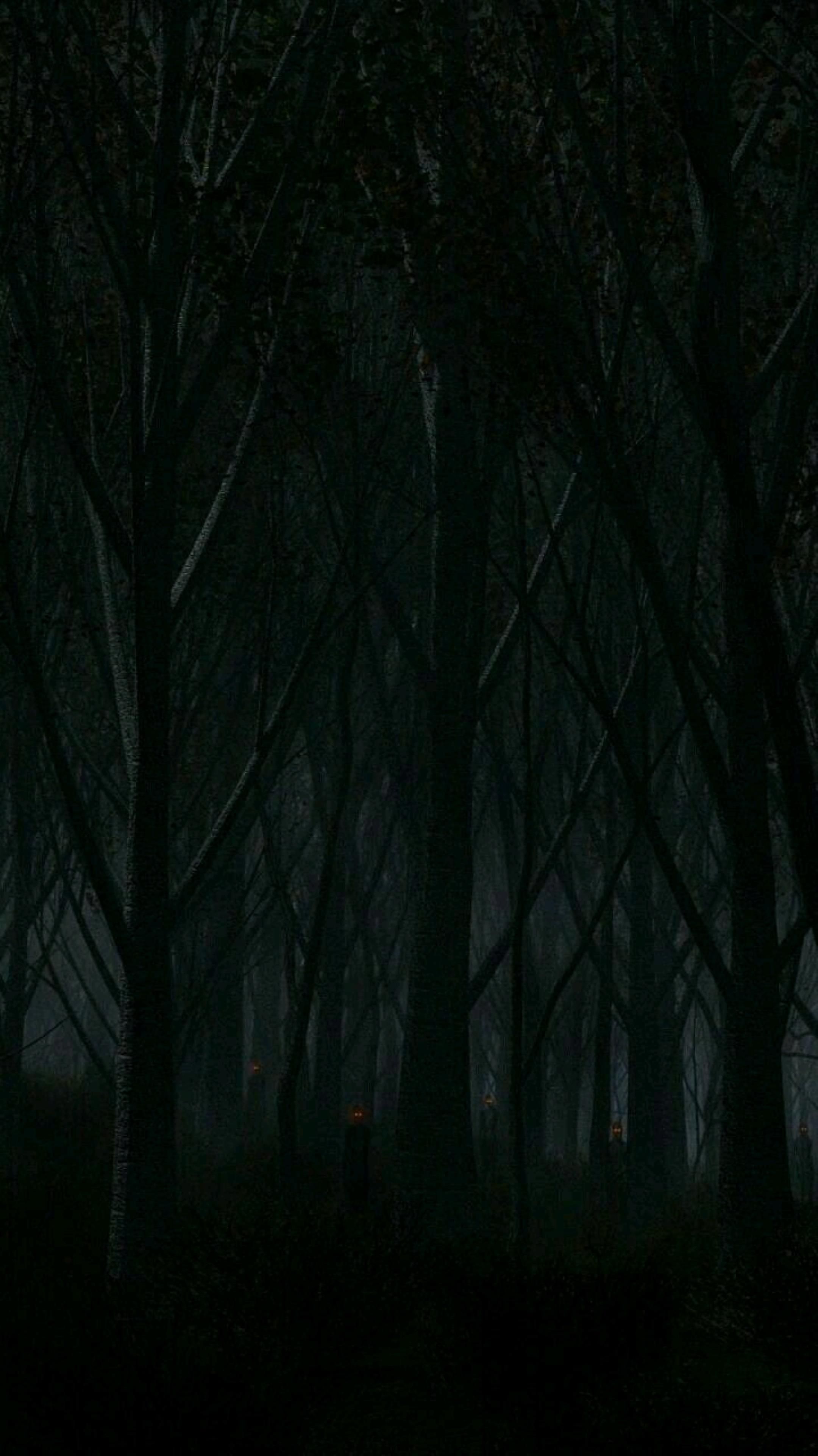 AMOLED Nature Wallpaper. Tree wallpaper android, Creepy background, Dark wallpaper