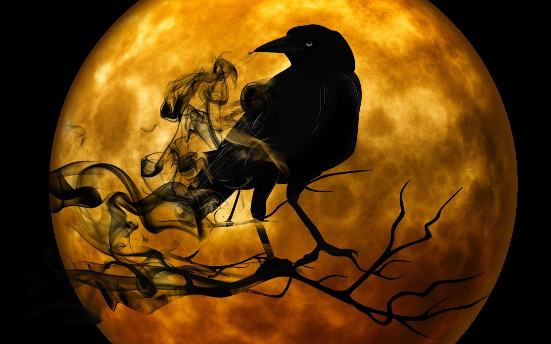 Raven Crow Night Creepy Darkness [1920x1200]
