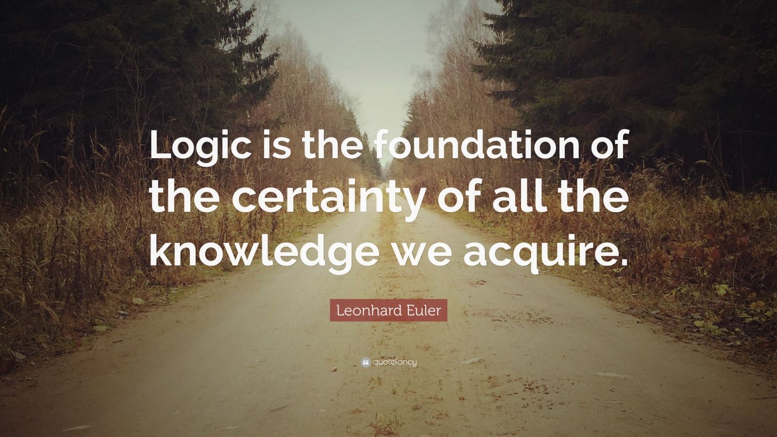 Leonhard Euler Quote: “Logic is the foundation of the certainty of all the knowledge we acquire.” (7 wallpaper)