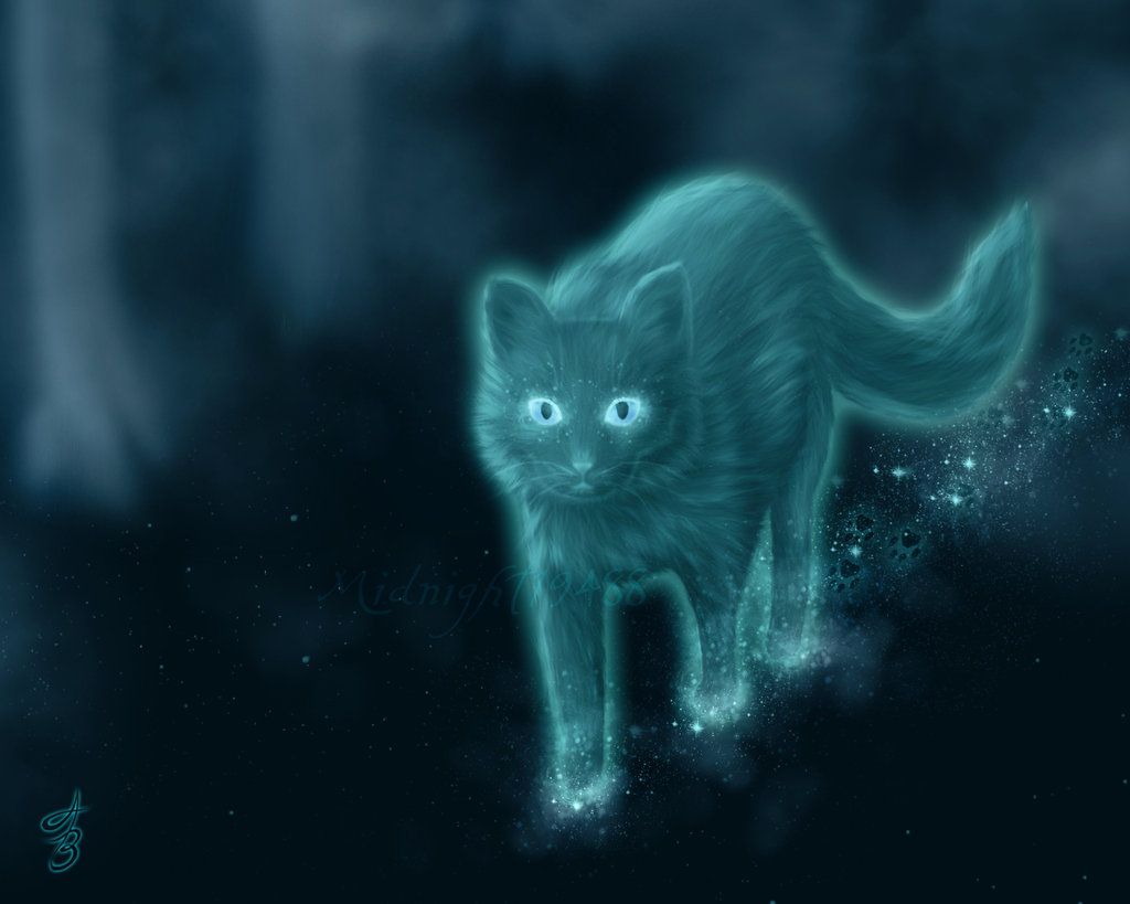 Free download Go Back Image For Warrior Cats Wallpaper Bluestar [1024x819] for your Desktop, Mobile & Tablet. Explore Warrior Cats Background. Warrior Wallpaper