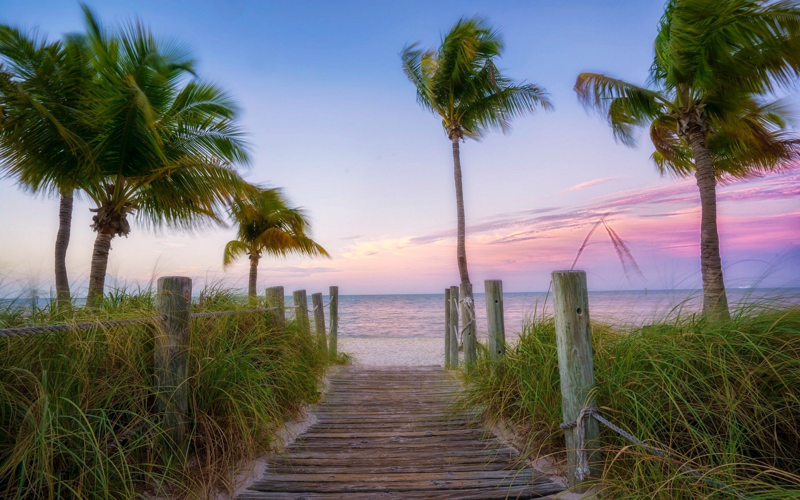 Discover more than 71 florida beach wallpaper super hot - in.cdgdbentre