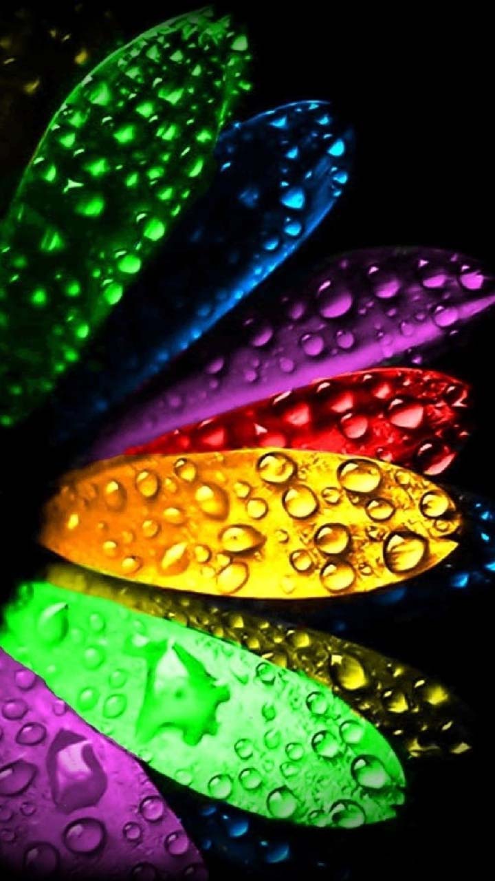 Download Free Mobile Phone Wallpaper Rainbow Petals