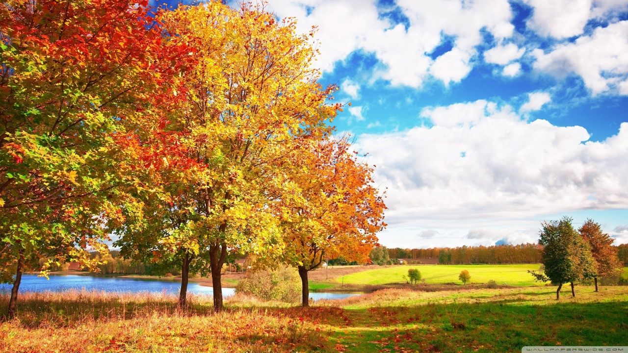Beautiful Autumn Day Ultra HD Desktop Background Wallpaper for: Multi Display, Dual Monitor, Tablet