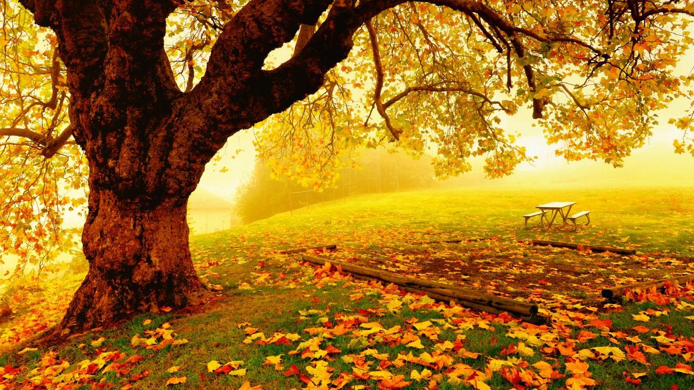 Beautiful Autumn Day Wallpapers - Wallpaper Cave