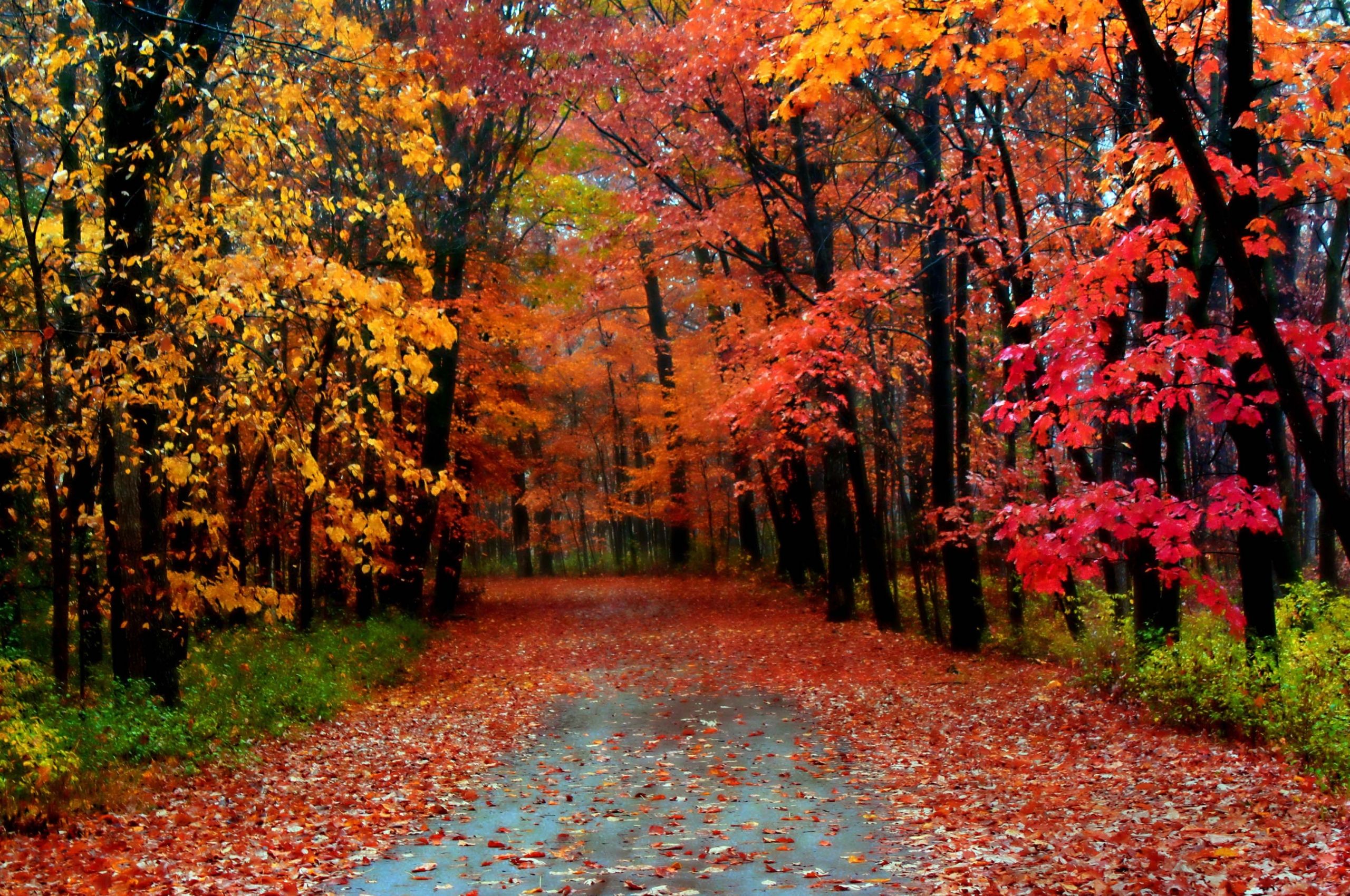 Free download Autumn Season Most Beautiful Wallpaper Full HD [3744x2293] for your Desktop, Mobile & Tablet. Explore Fall Season Wallpaper. Spring Season Wallpaper, Walking Dead Wallpaper Season Season