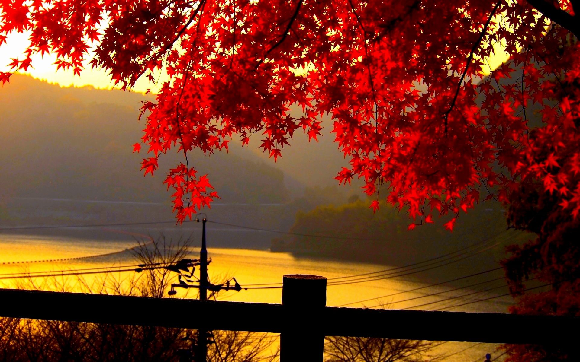 Autumn Leaf Wallpaper Beautiful Free HD Fall Wallpaper Of the Day of The Hudson