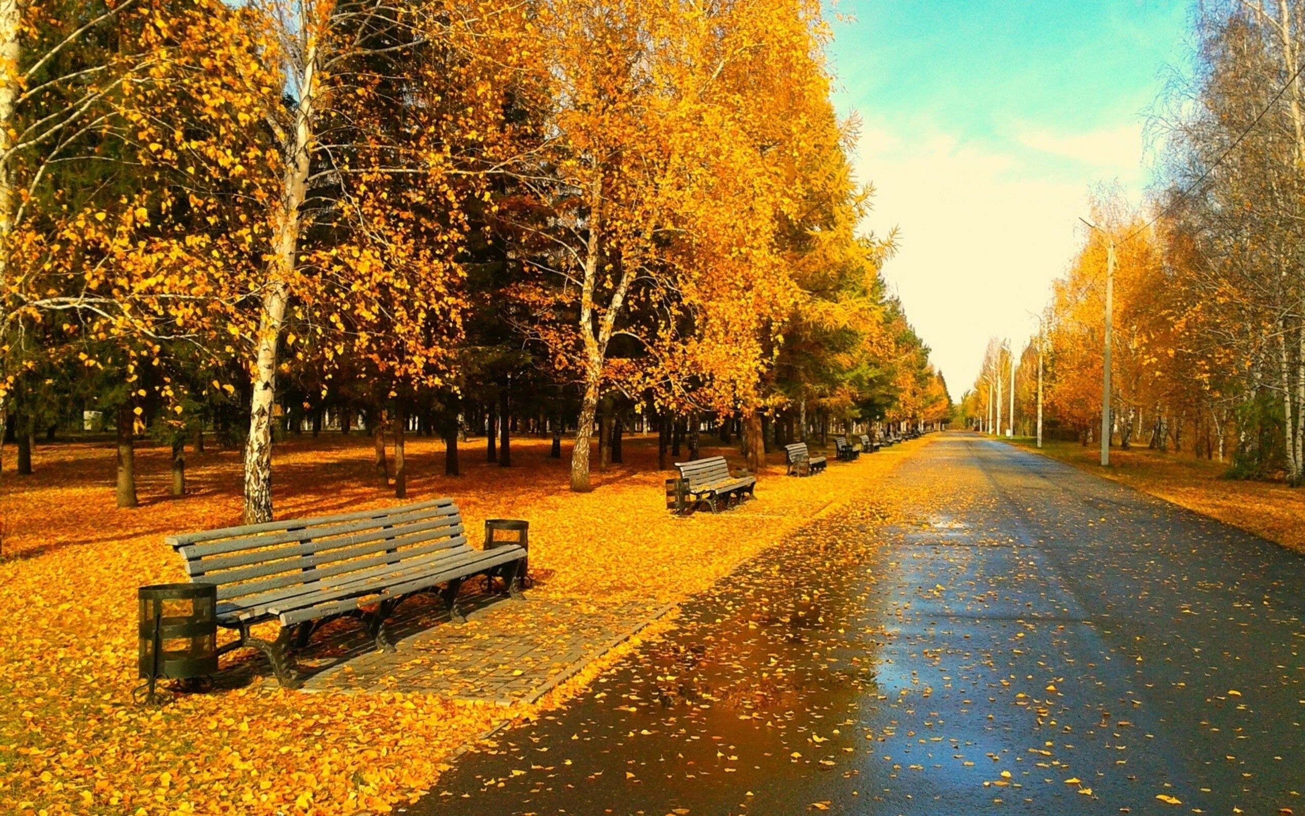 Sunny Autumn Day wallpaper. Sunny Autumn Day