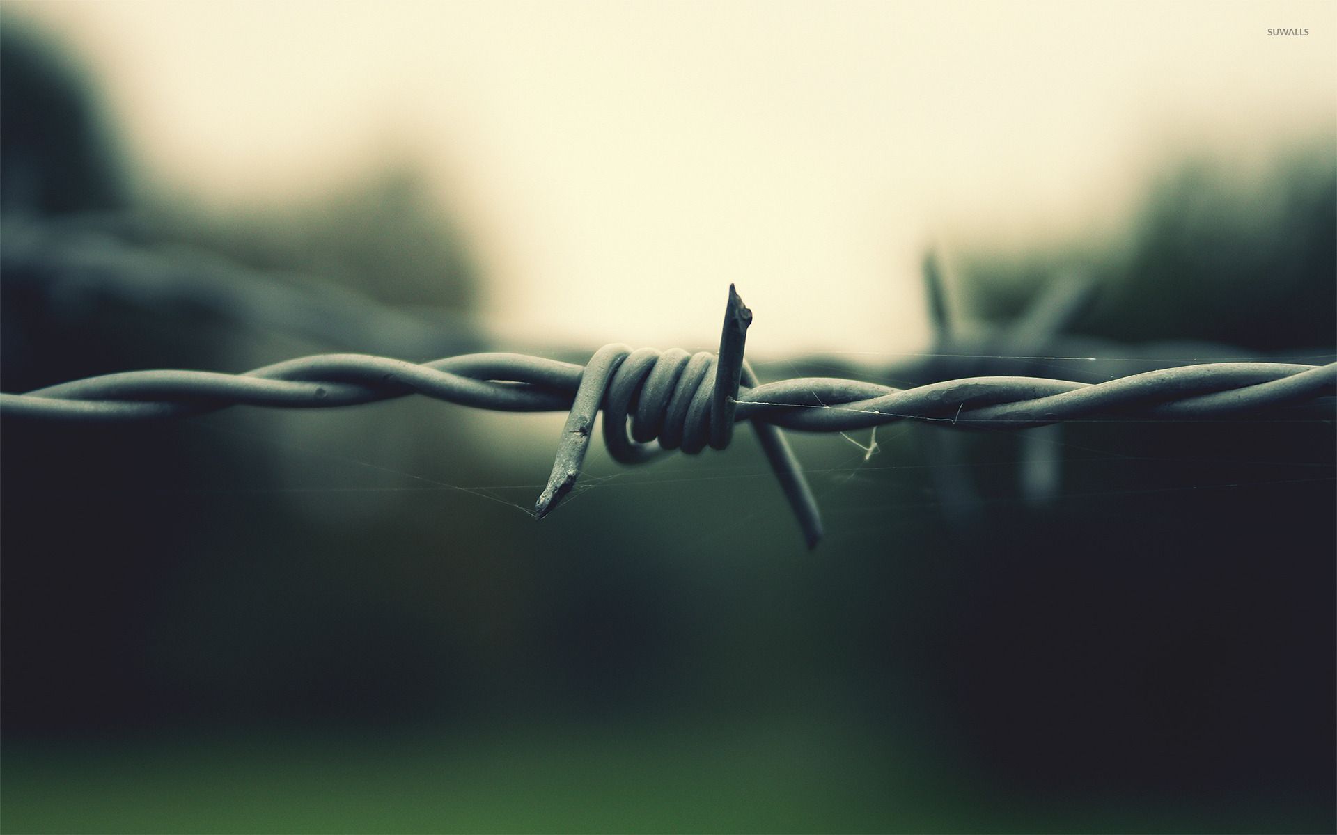 Barbed wire [2] wallpaper wallpaper