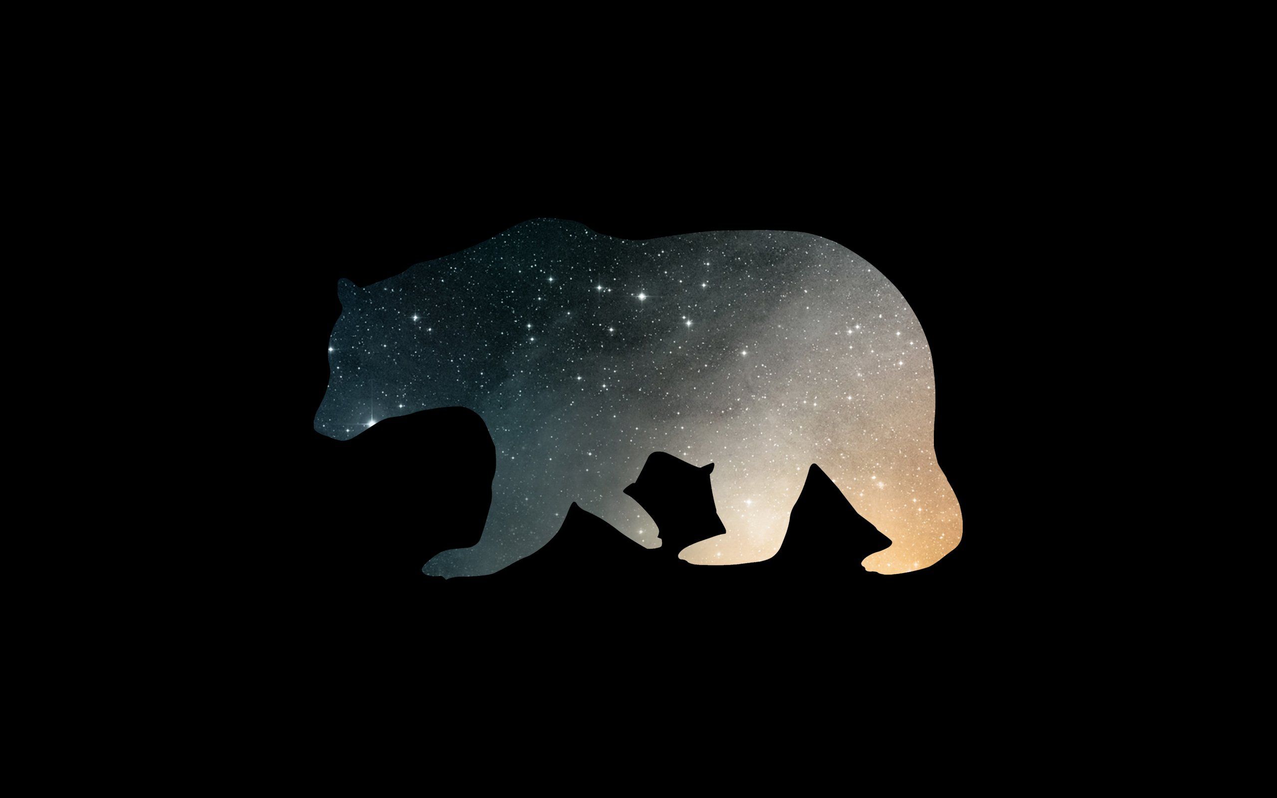 Bear 4K wallpaper for your desktop or mobile screen free and easy to download