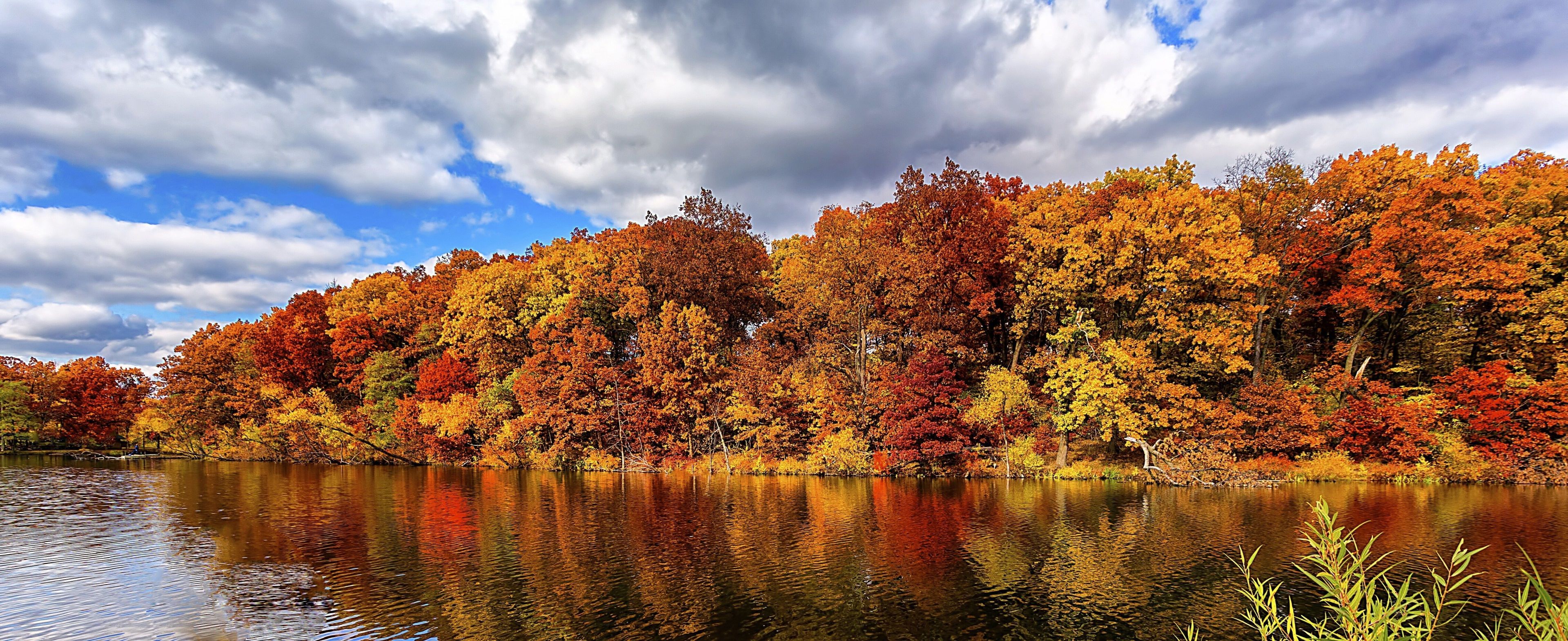 autumn 4k HD wallpaper download. Autumn landscape, Autumn forest, Forest lake