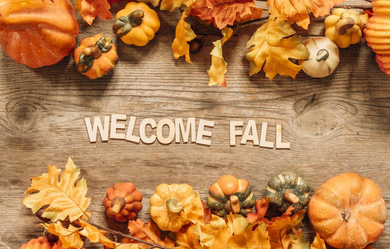 Welcome Fall Wallpaper