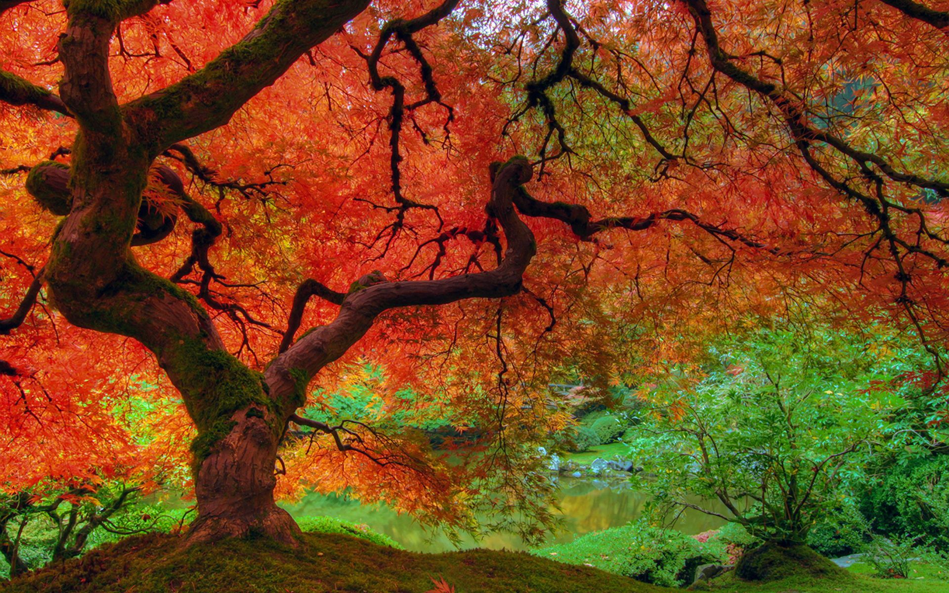 Autumn Color Desktop Background. Color Vintage Wallpaper, Watercolor Floral Wallpaper and Color Wallpaper