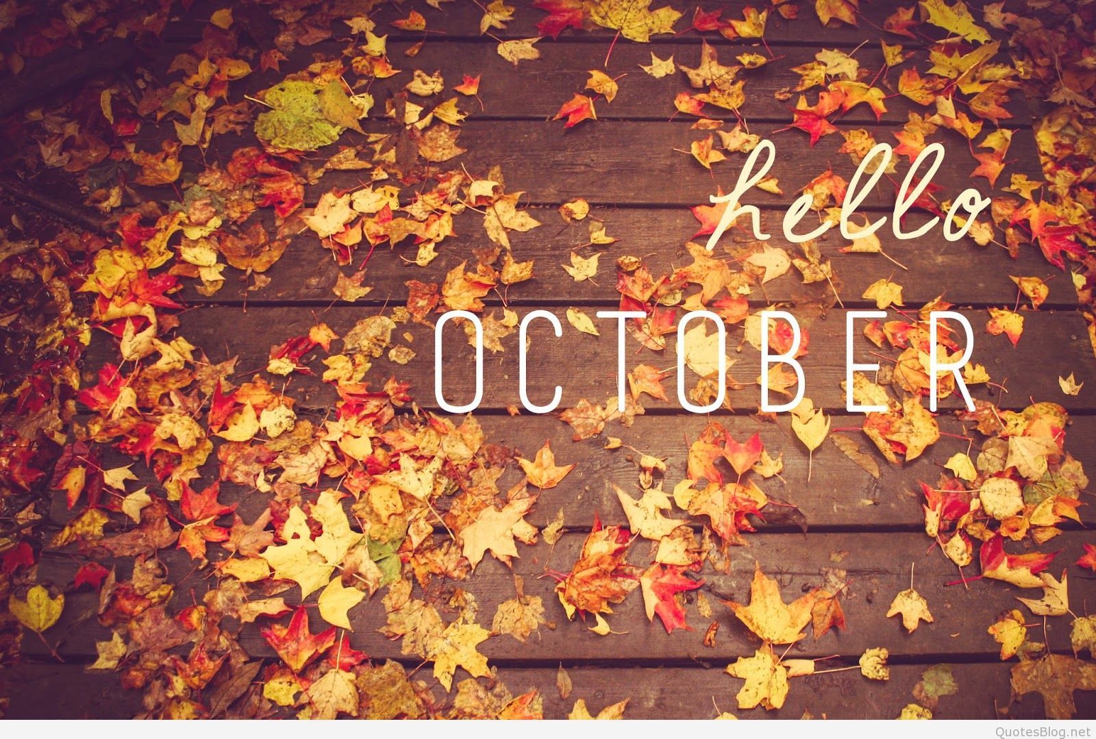 Hello October Fall Quotes Wallpaper Free Hello October Fall Quotes Background